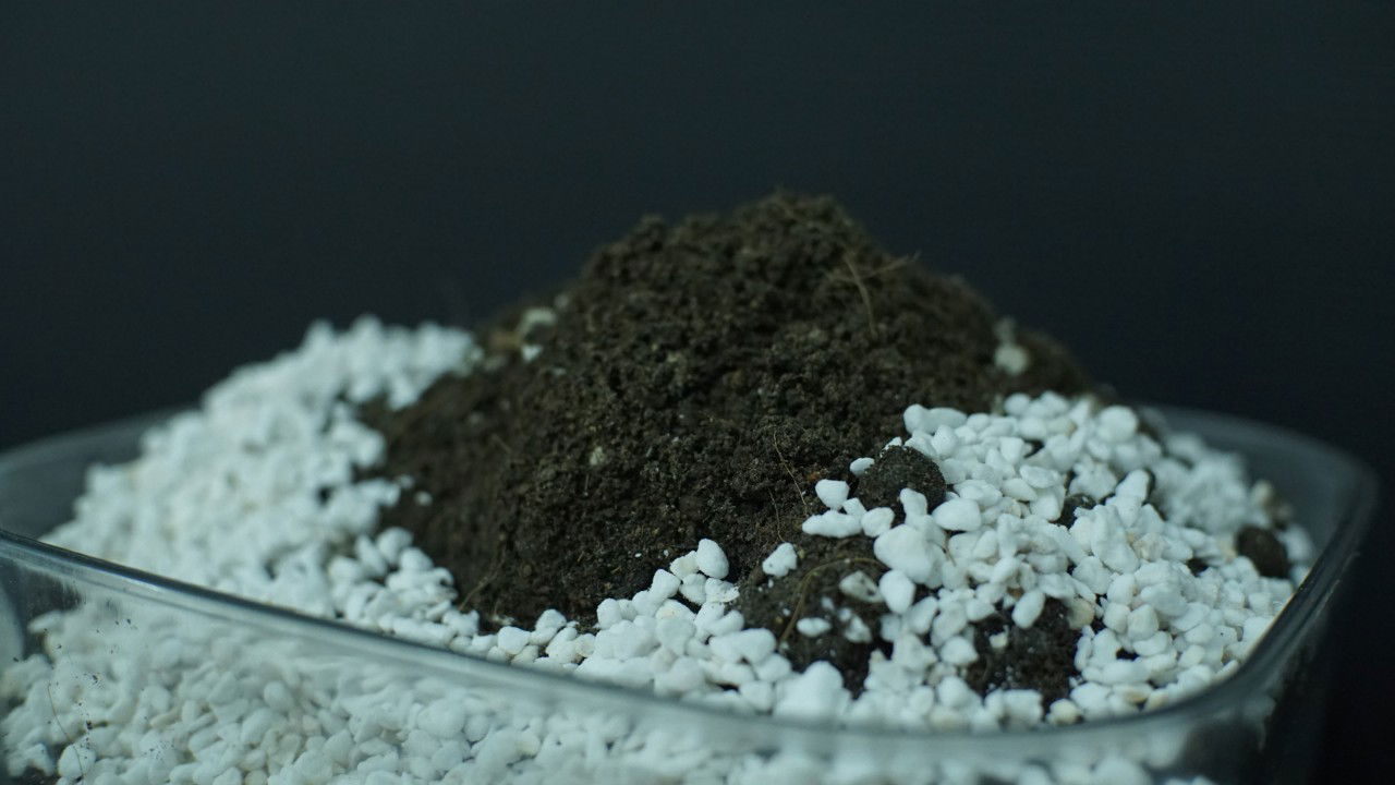 Properties of Perlite as a planting material