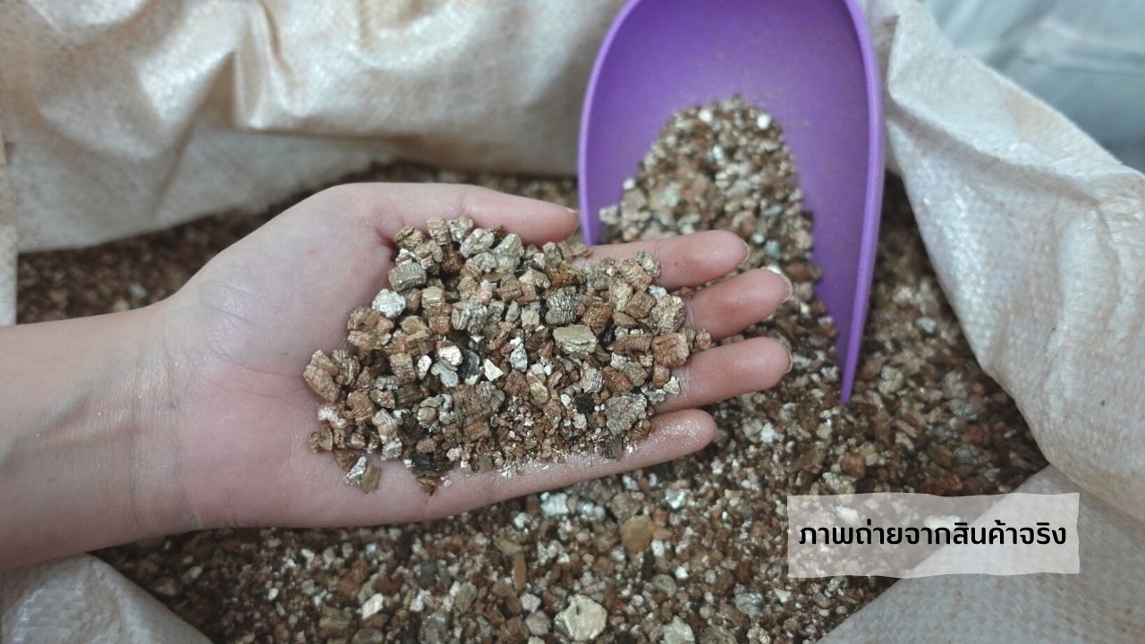 เวอร์มิคูไลท์(Vermiculite)คืออะไร