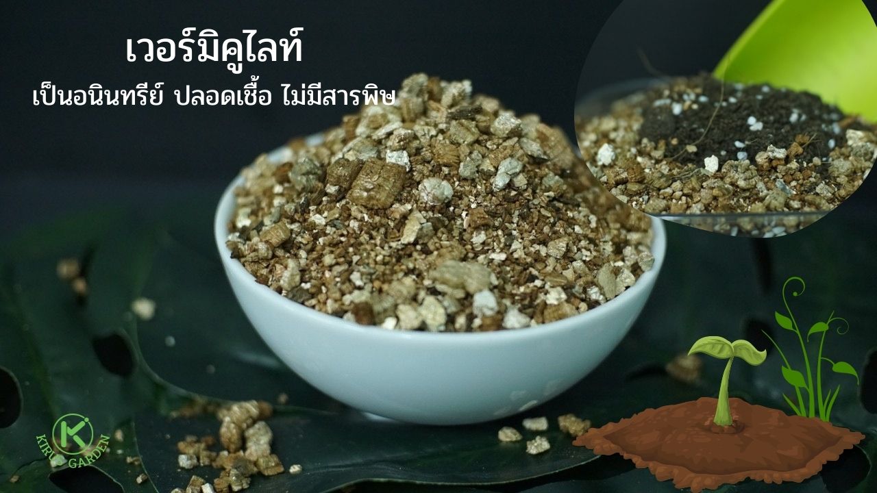 คุณสมบัติของเวอร์มิคูไลท์ในการเป็นวัสดุปลูก