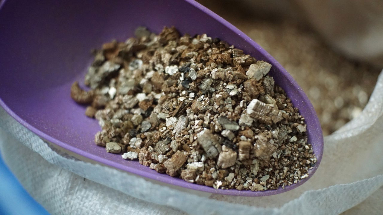 ประโยชน์ของเวอร์มิคูไลท์ในการเป็นวัสดุปลูก