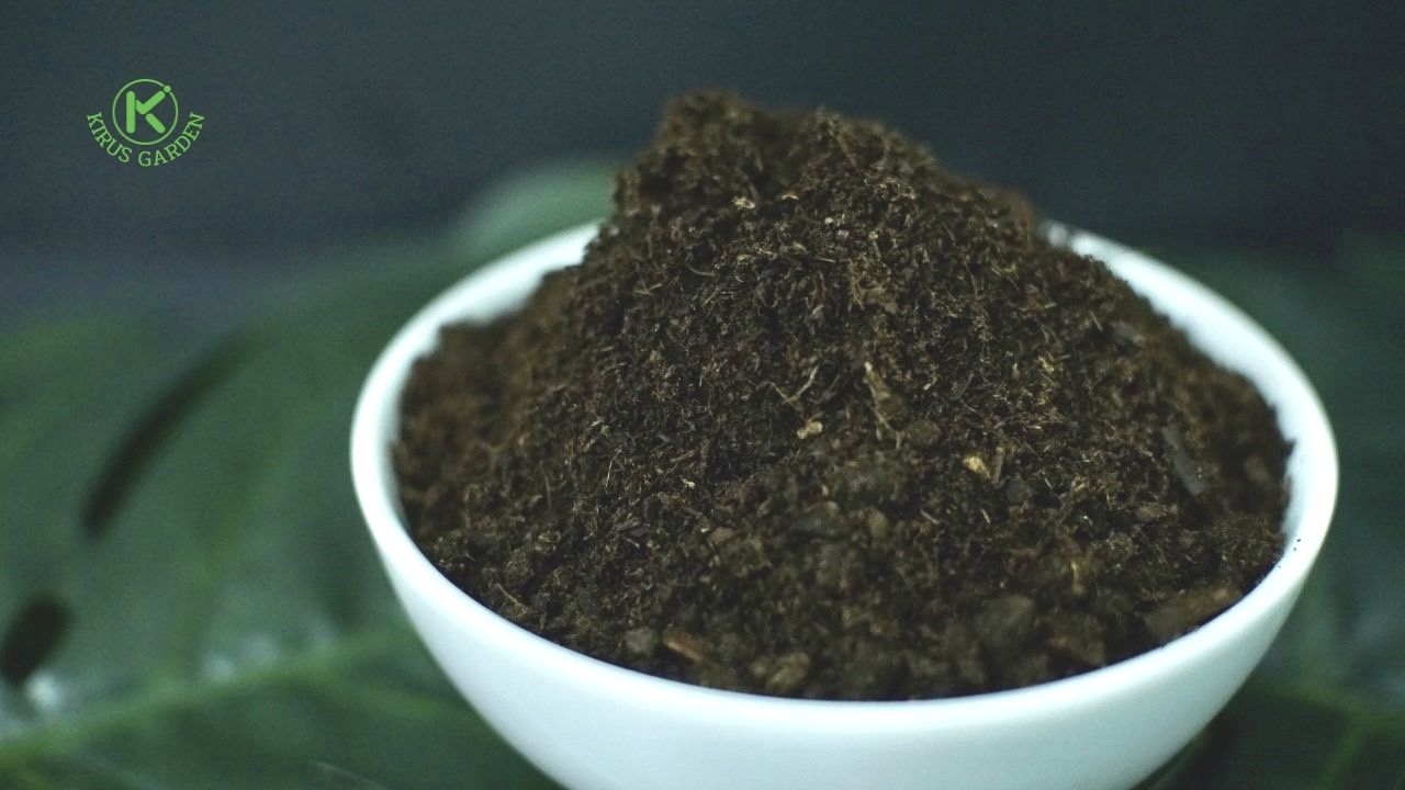 วิธีการใช้พีทมอส