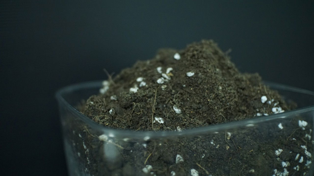 วิธีการใช้พีทมอส