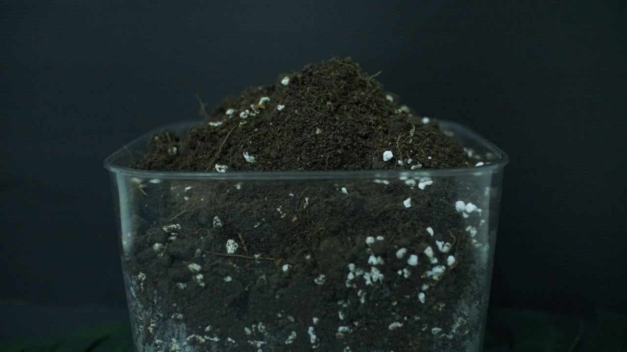 วิธีการใช้พีทมอส