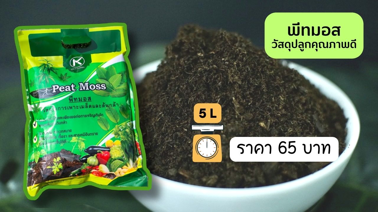 ราคา พีทมอสวัสดุปลูกคุณภาพดีจากKirus Garden