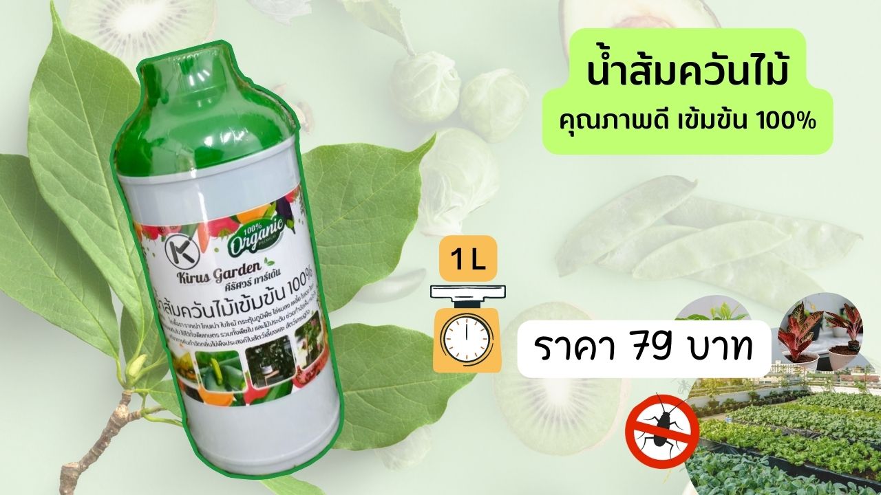 Giá giấm gỗ sinh học đậm đặc công thức Kirus Garden