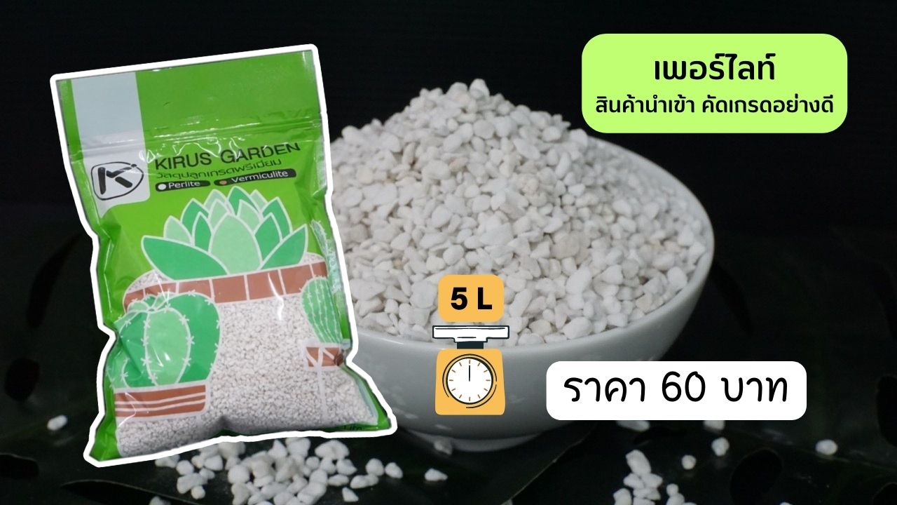 ราคา เพอร์ไลท์วัสดุปลุกคุณภาพดีจาก Kirus Garden