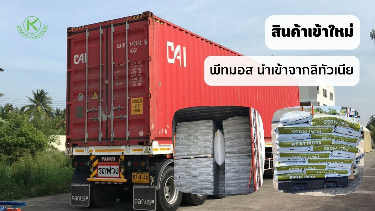 พีทมอส Solvika