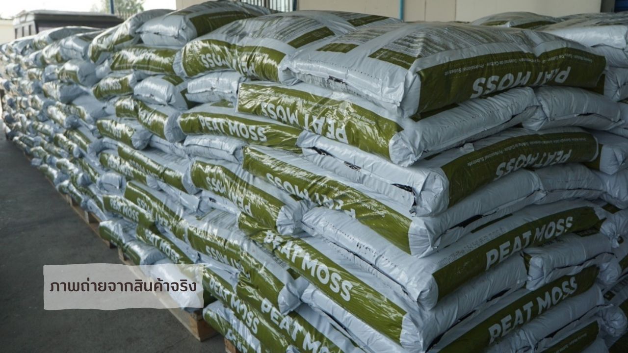 พีทมอส Solvika