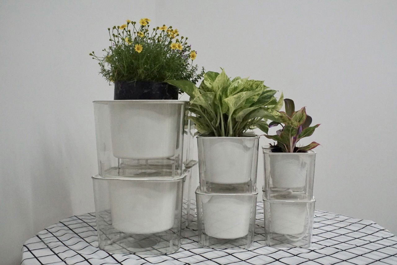 Chậu hoa trong suốt tự tưới nước tự hấp thụ dành