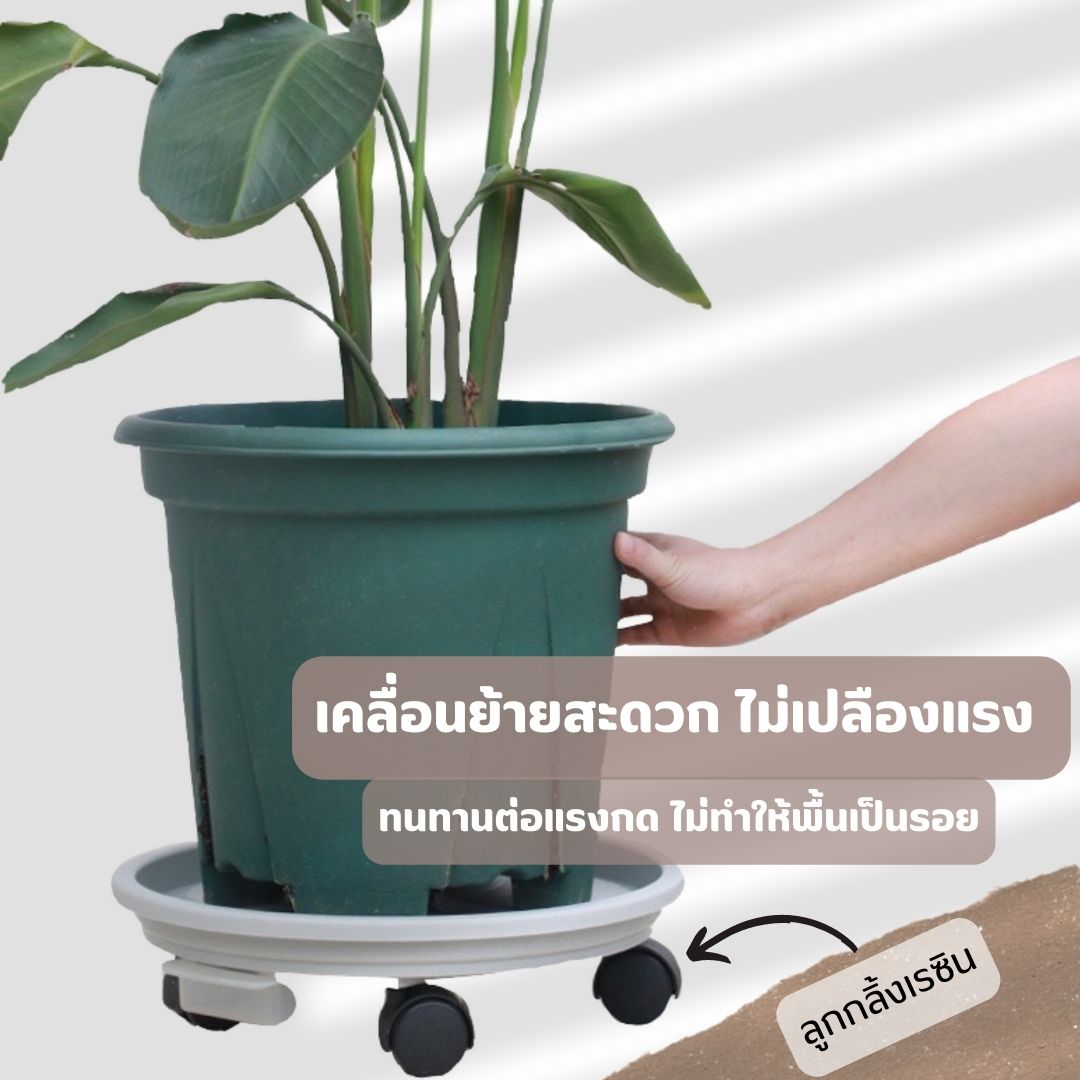 Khay đỡ chậu cây có bánh xe, chắc chắn, chịu được trọng lượng lớn