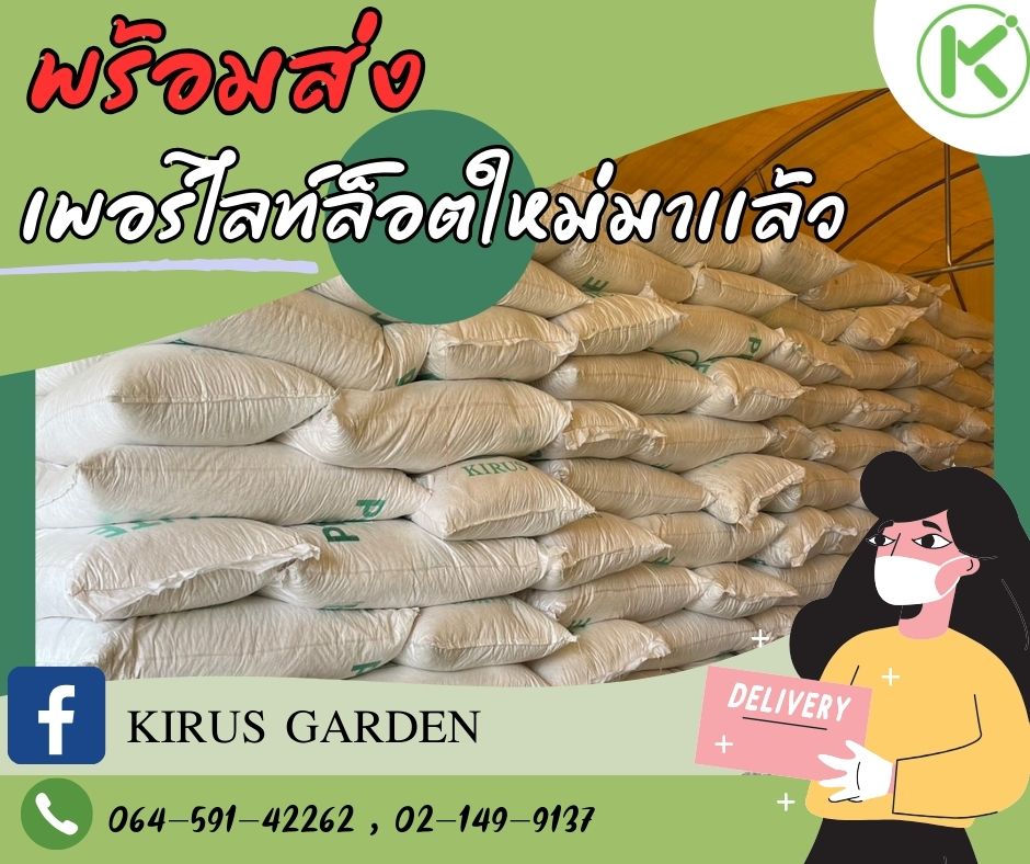 เพอร์ไลท์ (Perlite) คืออะไร