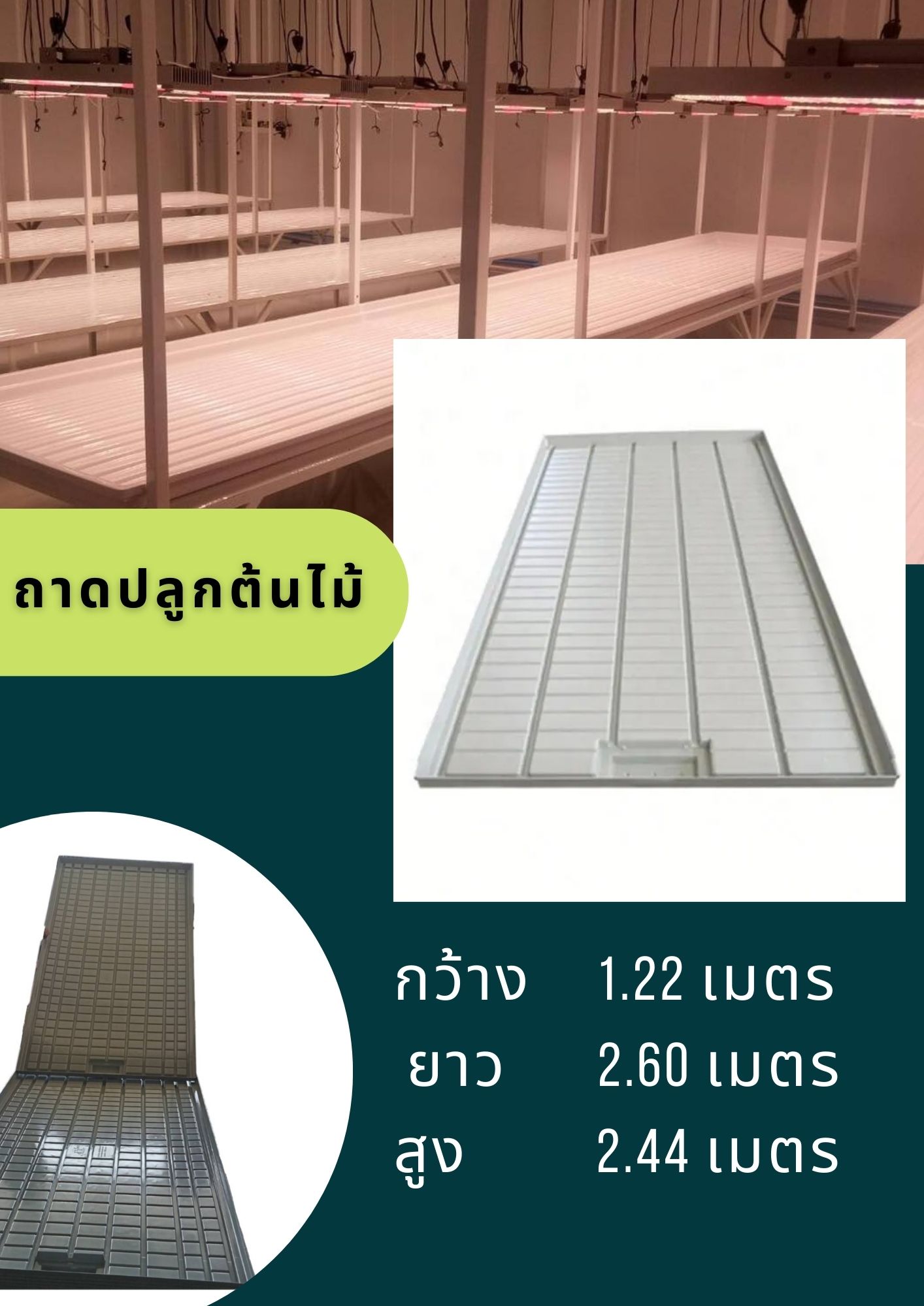 ชั้นปลูก (พร้อมถาดปลูก) 