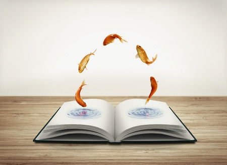 مشروع طباعة وتوزيع كتاب اسماك البحر الأحمر