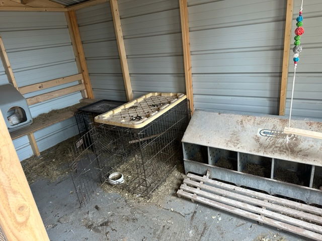 Update to our Chicken Coup