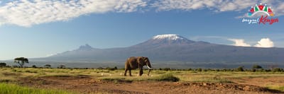 KENYA TRAVEL GUIDE image