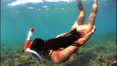 Looking for a Full Face Snorkel Mask