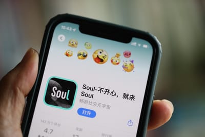 A Soul Cial Metaverse for Young Generation