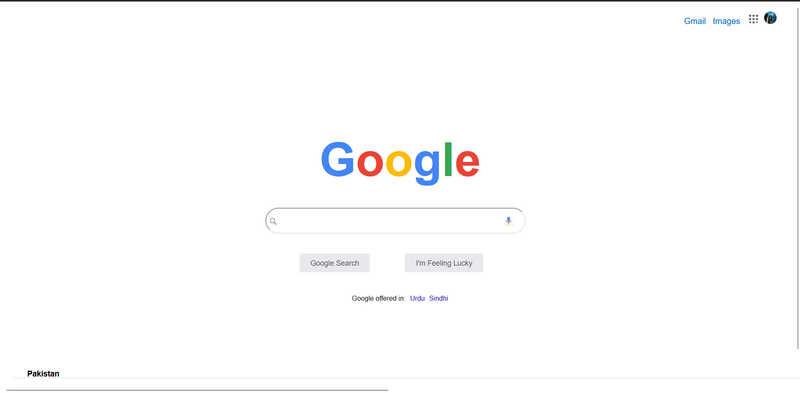 Google Webpage and Form