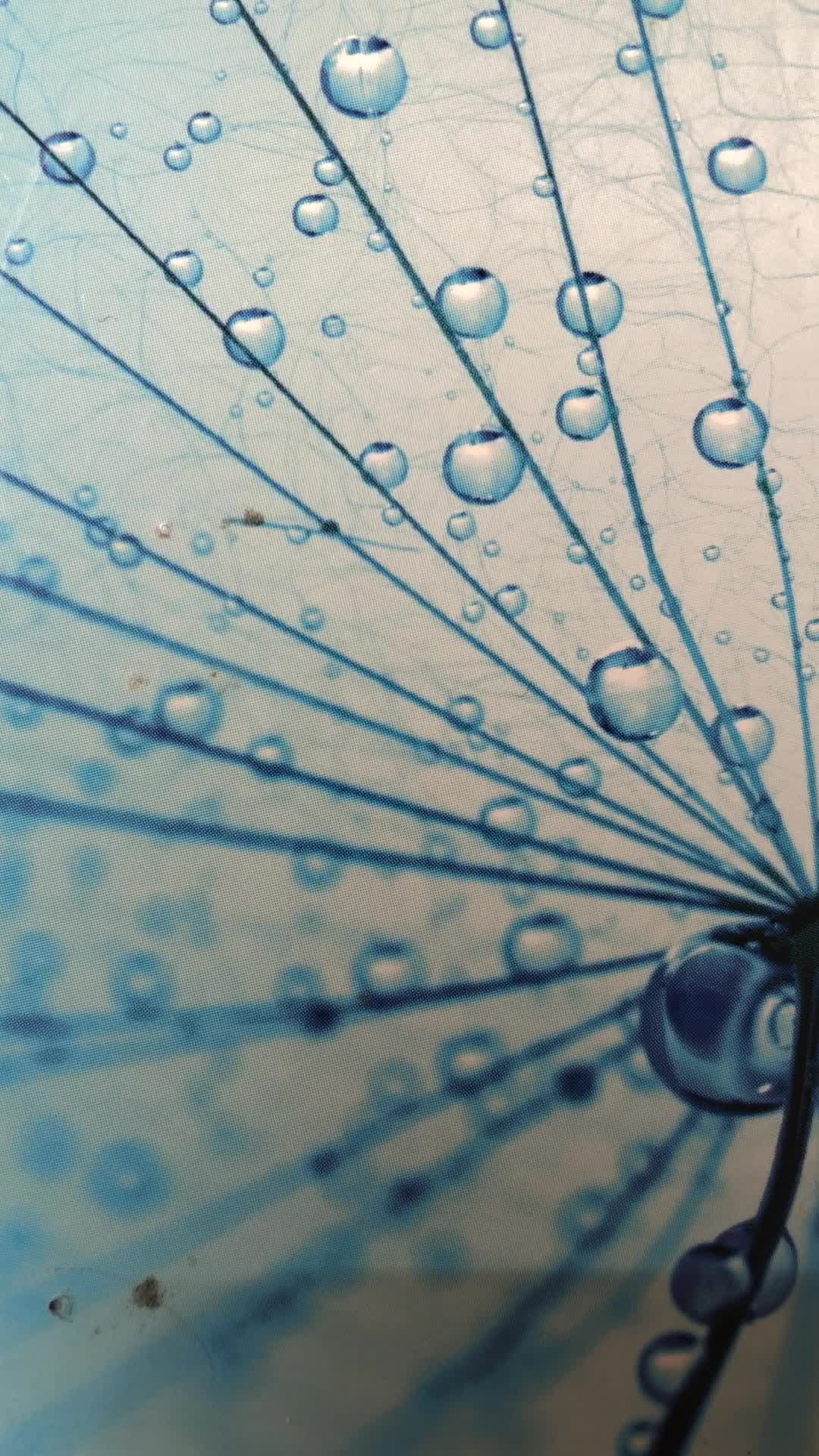 Sprachprobe video thumbnail