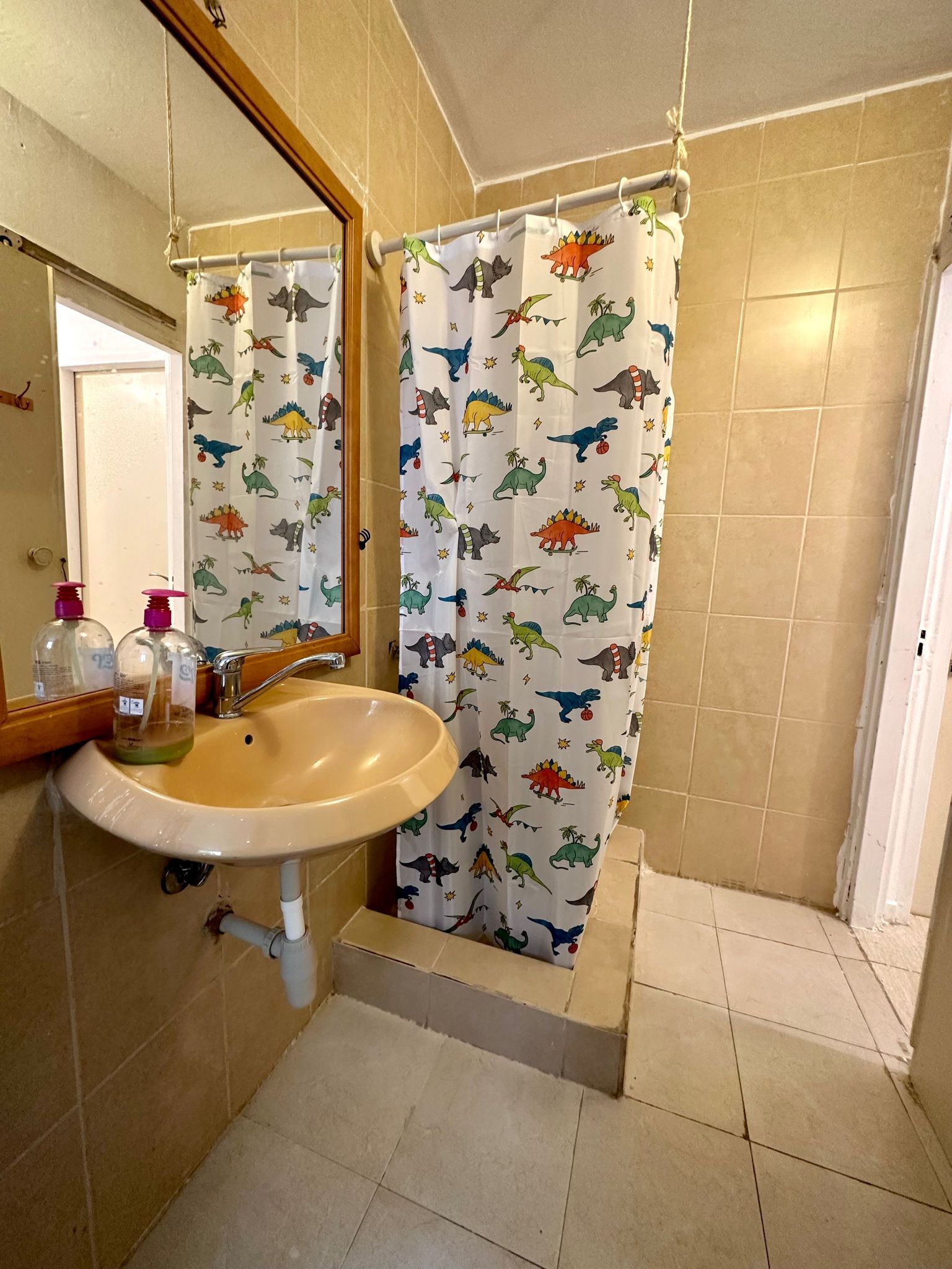 ש"י עגנון , חיפה