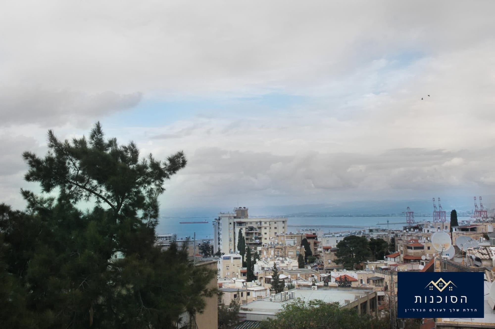 הדירה בשטח של כ- 80 מ״ר, כוללת 3.5 חדרים, בקומה 4, נוף ים, משופצת ברמה טובה. אזור מרכזי / קרובה לכל מוקדי העניין !