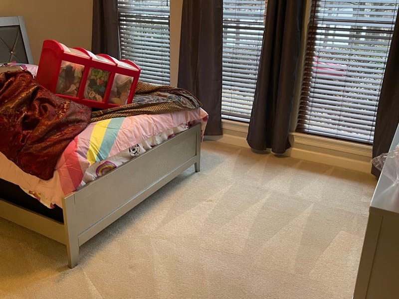 Carpet Cleaning