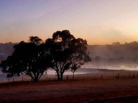 Northcliffe Nature Park