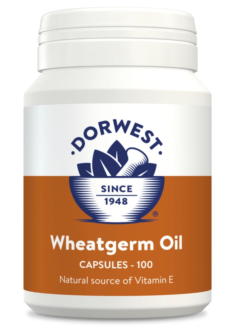 Wheatgerm Oil 100 Capsules