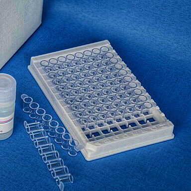 Rapid Antimicrobial Susceptibility Test for Resistant Bacteria