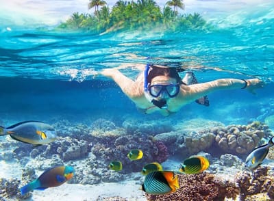 Sail Away to Paradise: Exploring Cozumel on Catamaran Tours