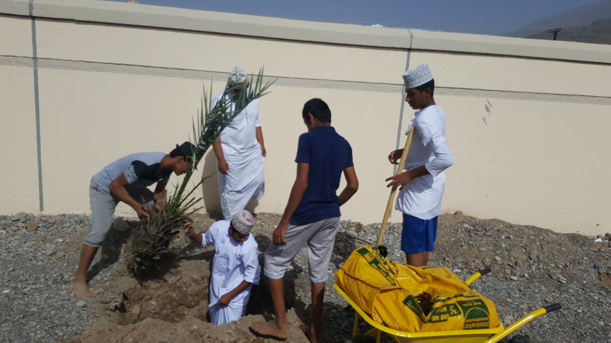 زراعة فسائل النخيل