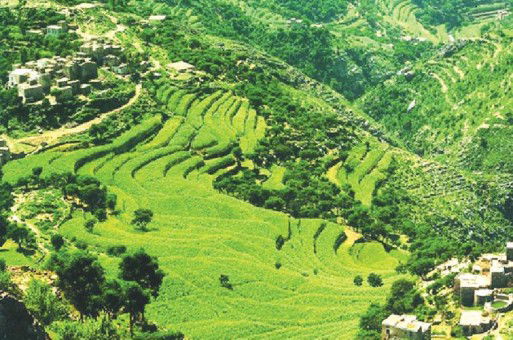 الجبل الأخضر