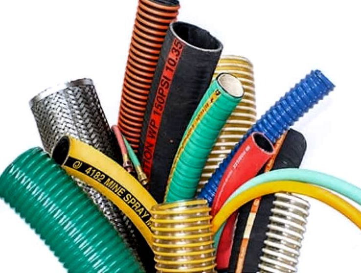 Distribución de primeras marcas