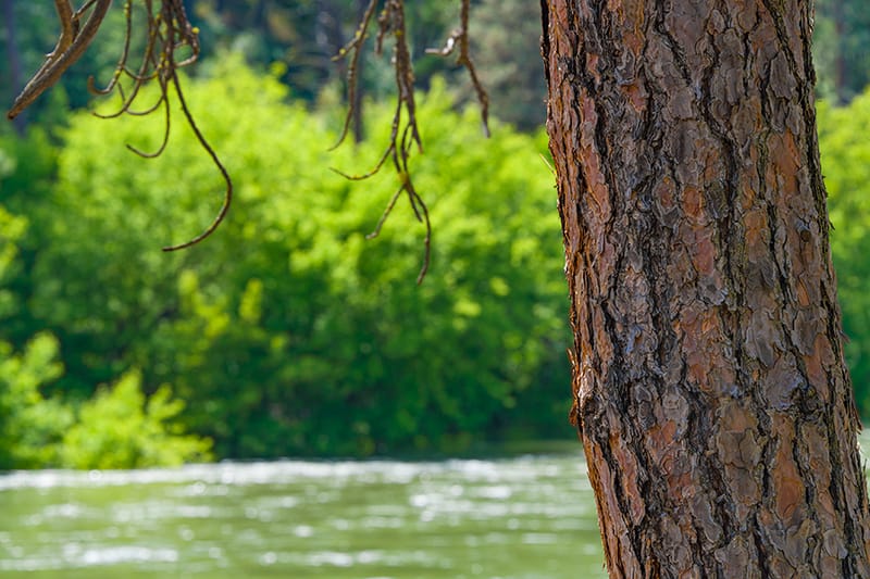 Spokane Area & Other Places