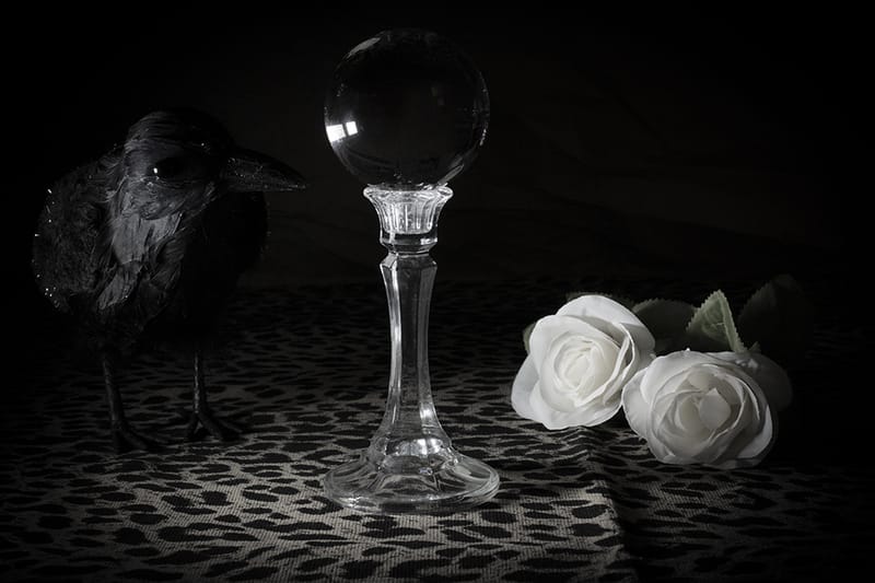 Still Lifes