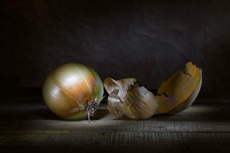 Still Lifes
