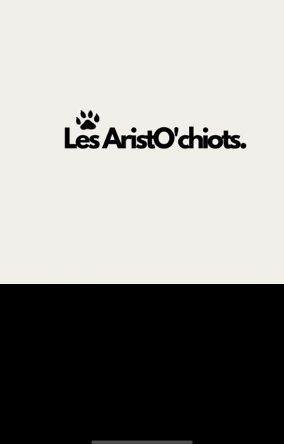 Les AristO' Chiots