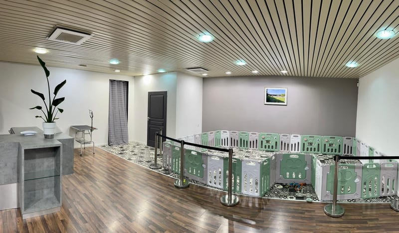 1 rue Gustave Eiffel 63800 Cournon Auvergne