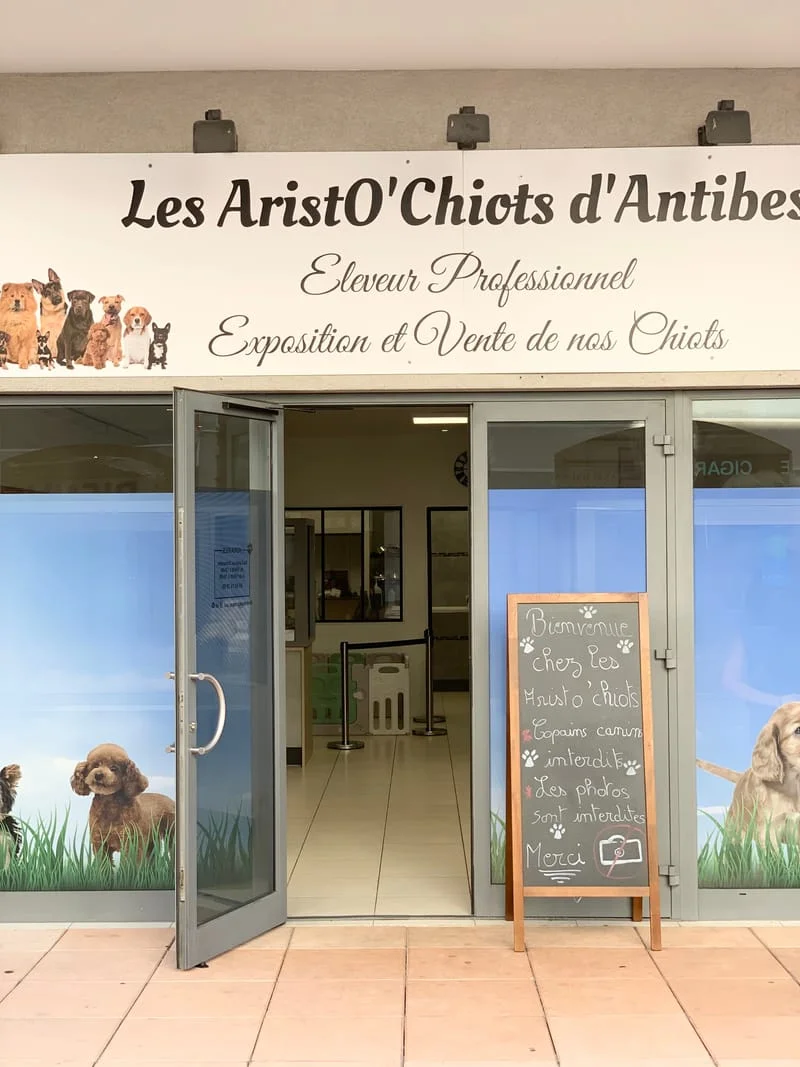 Res Marine les Pins, 55 av de Cannes à Antibes