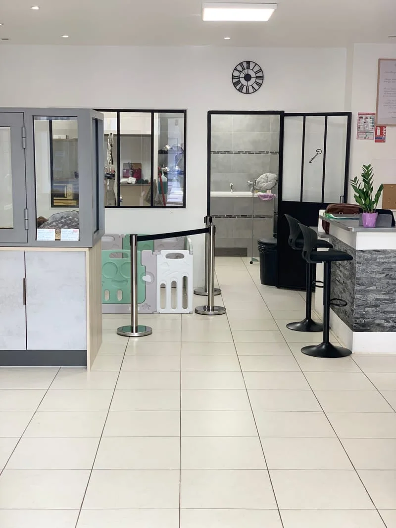 Res Marine les Pins, 55 av de Cannes à Antibes