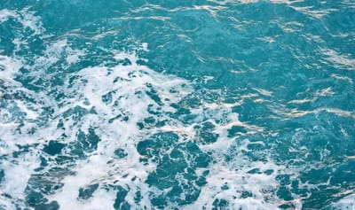 LES PROBIOTIQUES PENDANT  MENOPAUSE: des alliés incontournables