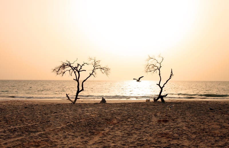 Théâtre Dijon Bourgogne : Fajar