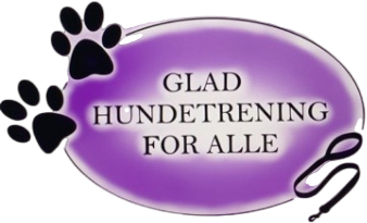 gladhundetrening