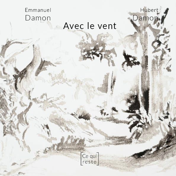 TEXTE DE REVUE - Ralentir vent : Emmanuel Damon, Hubert Damon (Lavis), "Avec le vent"