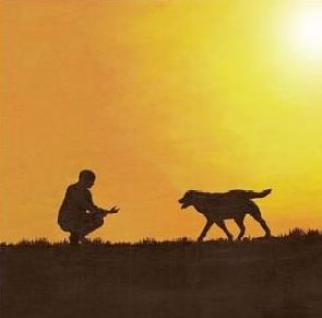 Une jurisprudence pour être enterré avec son animal.