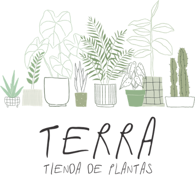 Terra Tienda de Plantas