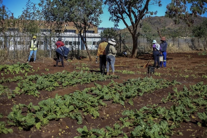 AGRICULTURAL SKILLS DEVELOPMENT PROGRAMME