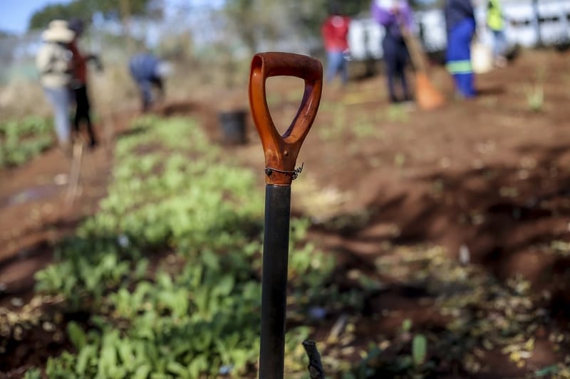 National certificate: Plant Production