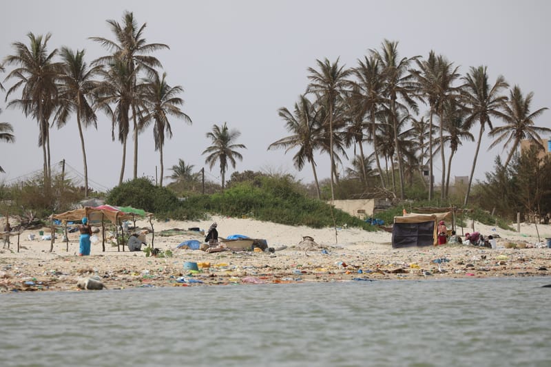 8. SAINT LOUIS 2 : Le Parc National de la Langue de Barbarie (île aux oiseaux)