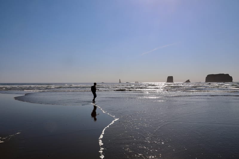 Péninsule Olympique : Port Townsend, La Push, Ruby Beach, Hoh Rain Forest